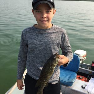 Meet your Posher, Jackson